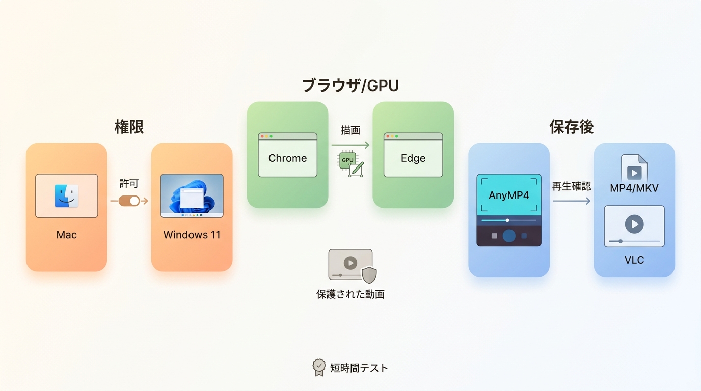 AnyMP4で黒画面を権限、Chrome・Edge、GPU、Windows 11、VLCの順に確認する流れ。