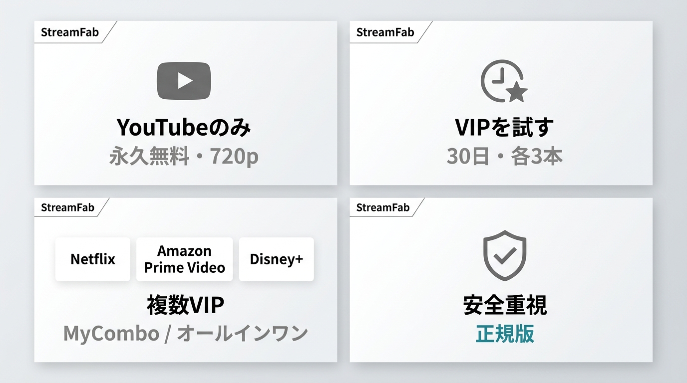 YouTube保存、VIP試用、複数VIP利用、正規版選択の4つの判断軸